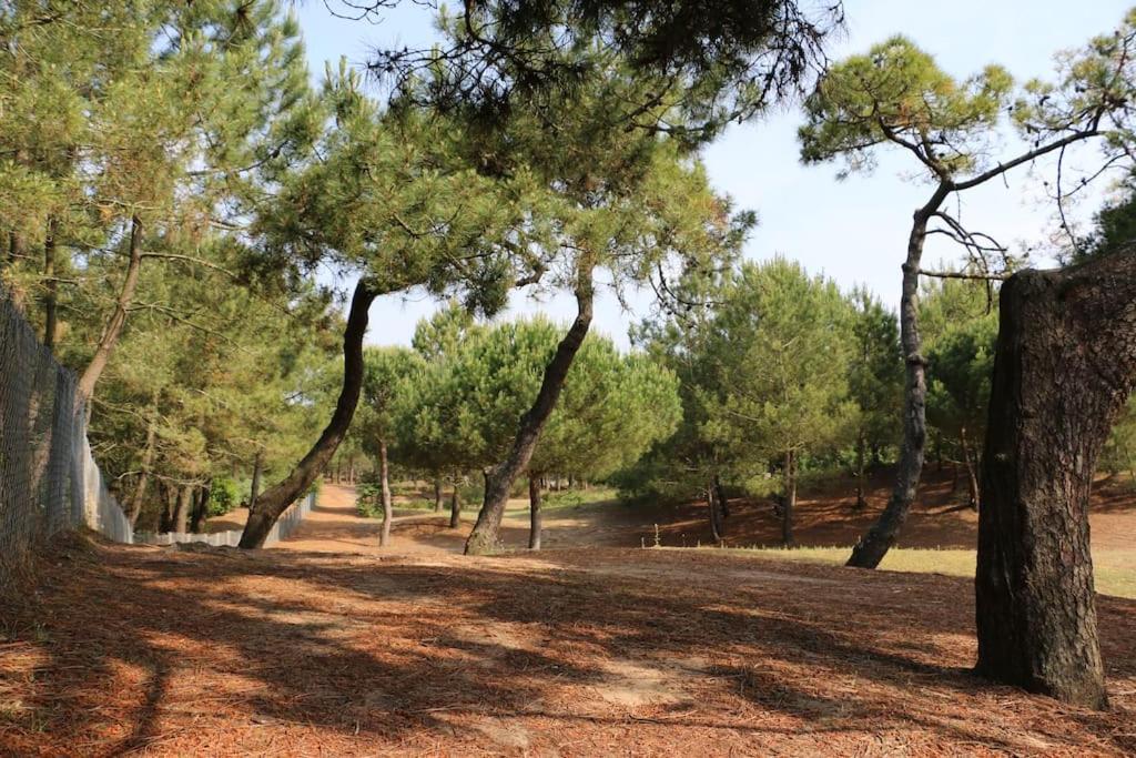 Vaimiti, Cabane Cosy Sous Les Pins Saint-Brevin-les-Pins Εξωτερικό φωτογραφία